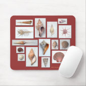 海の貝のマウスパッド マウスパッド (マウス)