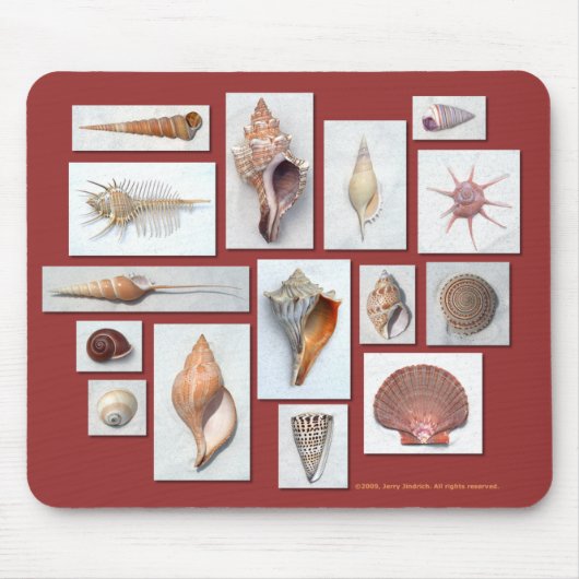 海の貝のマウスパッド マウスパッド (正面)