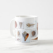 海の貝のマグ コーヒーマグカップ (正面左)