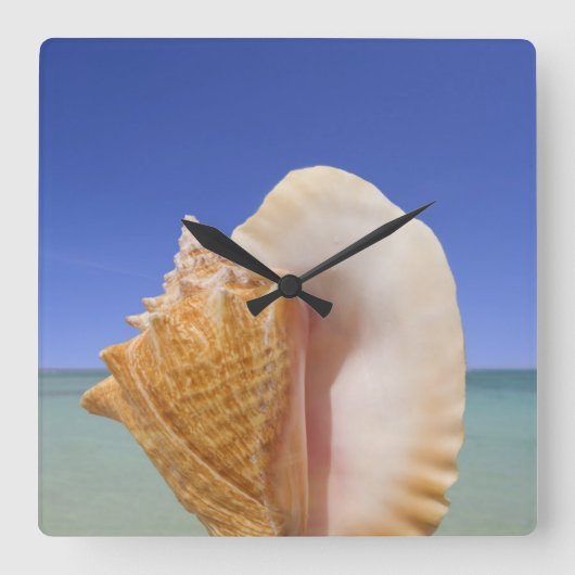 海の貝の終わり スクエア壁時計 (正面)