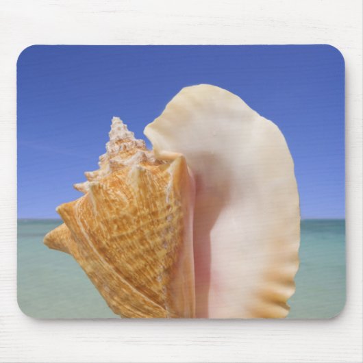 海の貝の終わり マウスパッド (正面)
