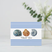 海の貝殻のブルーストライプ ポストカード (スタンド正面)