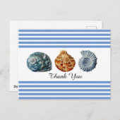 海の貝殻のブルーストライプ ポストカード (正面/裏面)