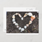 海の貝殻の中心 ポストカード (正面/裏面)