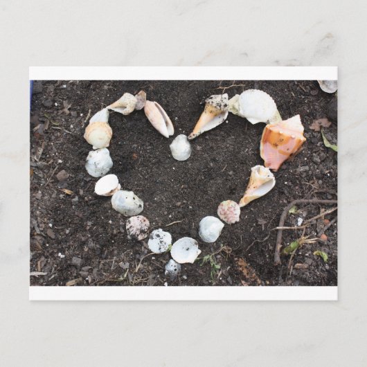 海の貝殻の中心 ポストカード (正面)