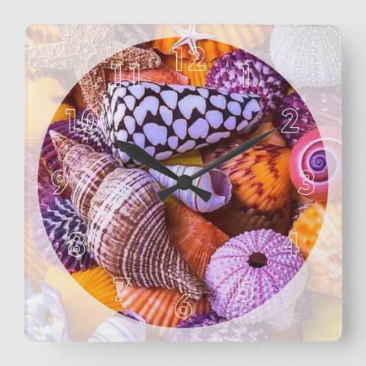 海の貝殻 スクエア壁時計 (正面)