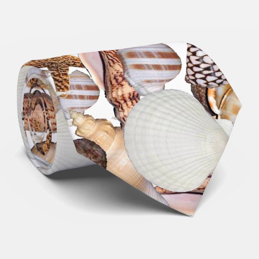 海の貝 ネクタイ (ロール)