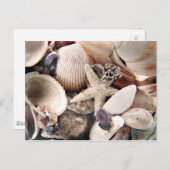 海の貝 ポストカード (正面/裏面)