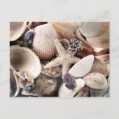 海の貝 ポストカード (正面)