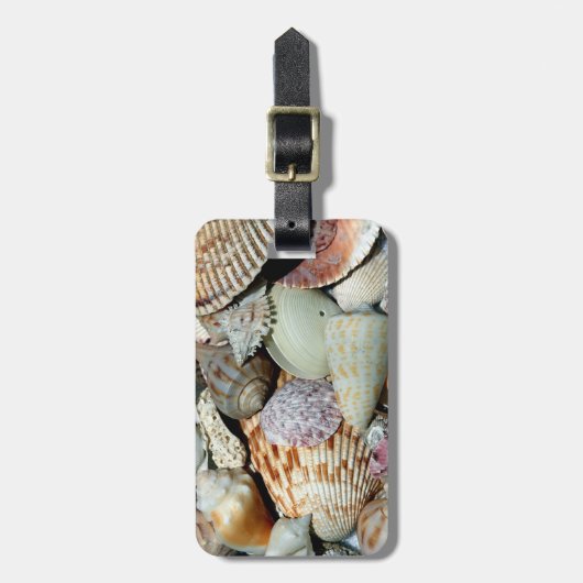 海の貝 ラゲッジタグ (正面縦)