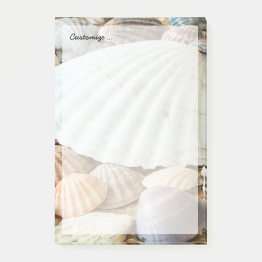 海の貝-海、海、自然 ポストイット (正面)