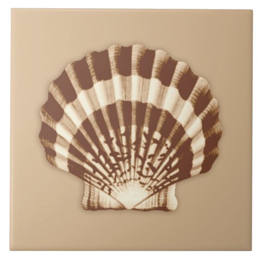 海の貝-茶色およびベージュ色 タイル (正面)