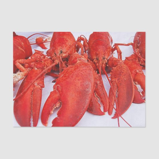 海の赤いロブスター（ nautical ） 薄葉紙 (正面)