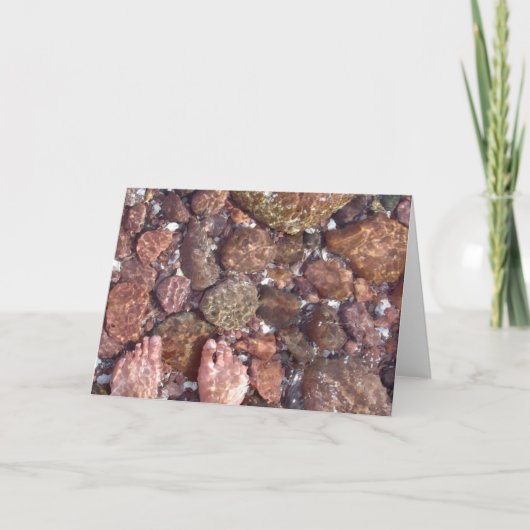 海の足 カード (正面)