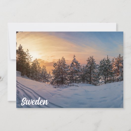 海の近凍っていくの雪の森の夕日 (正面)