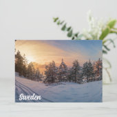 海の近凍っていくの雪の森の夕日 (スタンド正面)