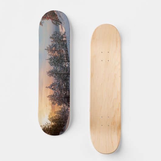 海の近凍っていくの雪の森の夕日 スケートボード (正面)