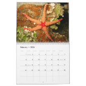 海の野性生物の写真撮影のカレンダー カレンダー (2月 2026)