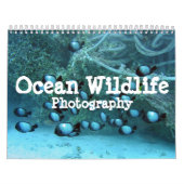 海の野性生物の写真撮影のカレンダー カレンダー (カバー)