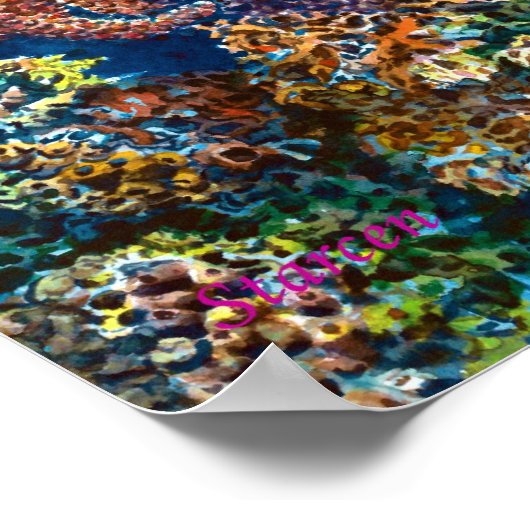 海の金魚 ポスター (角)