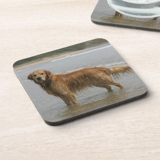 海の金Retreiver コースター (左側)