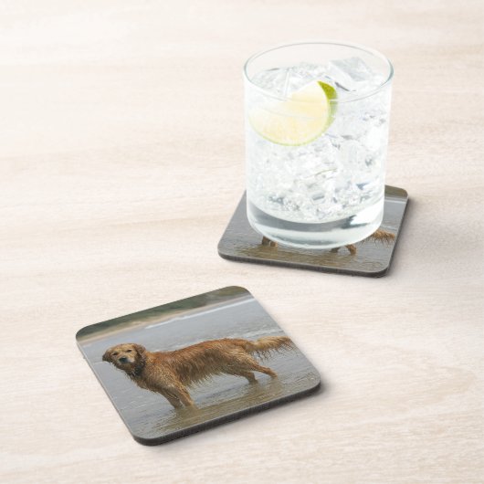 海の金Retreiver コースター (右側)