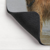 海の金Retreiver マウスパッド (コーナー)