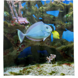 海の青の魚 シャワーカーテン