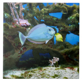 海の青の魚 タイル