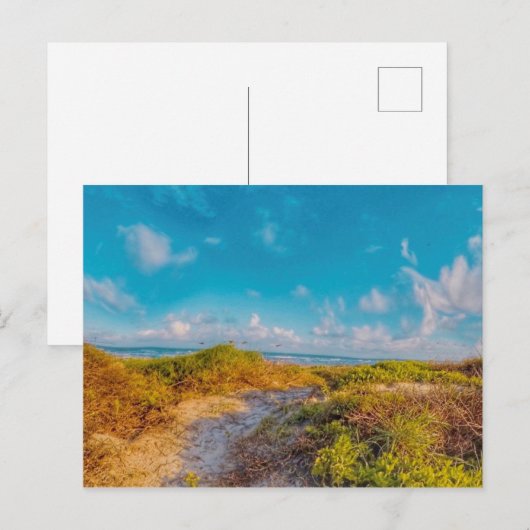 海の風景 ポストカード (正面/裏面)