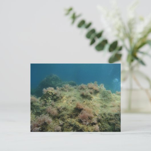 海の風景 ポストカード (スタンド正面)