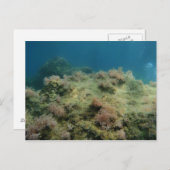 海の風景 ポストカード (正面/裏面)