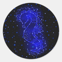 海の馬は光の中を泳ぐ