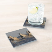 海の馬 – 野生の馬 ガラスコースター (アングル)