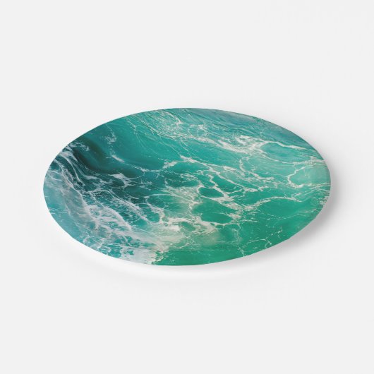 海の魂2 ペーパープレート (アングル)