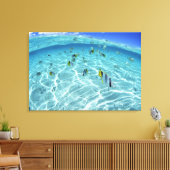 海の魚2 キャンバスプリント (インサイチュ (リビング))