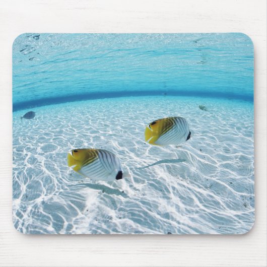 海の魚2 マウスパッド (正面)