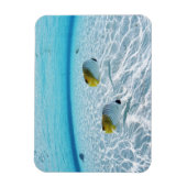 海の魚2 マグネット (縦)