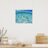 海の魚3 ポスター (キッチン)