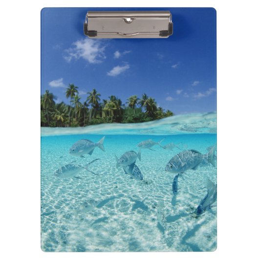 海の魚 クリップボード (正面)