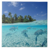 海の魚 タイル (正面)