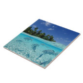 海の魚 タイル (側面)