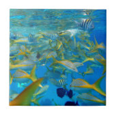 海の魚 タイル (正面)