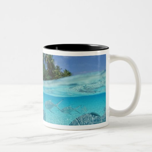 海の魚 ツートーンマグカップ (右)