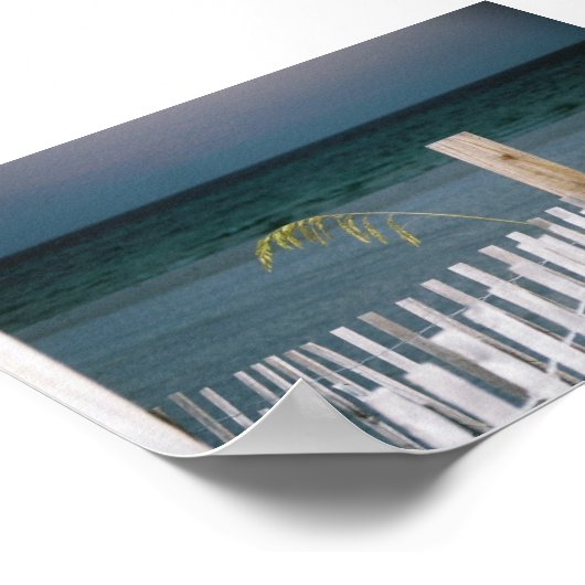 海の魚 ポスター (角)