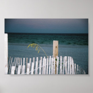 海の魚 ポスター