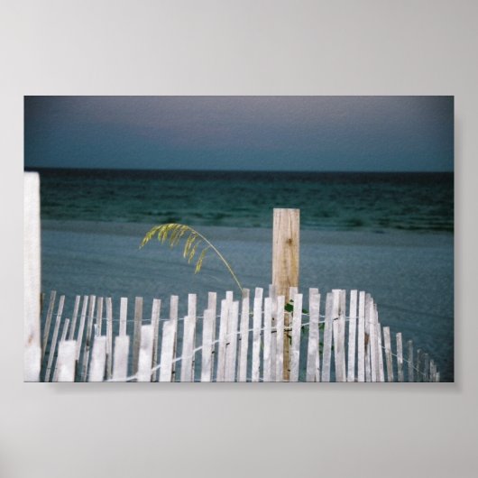 海の魚 ポスター (正面)