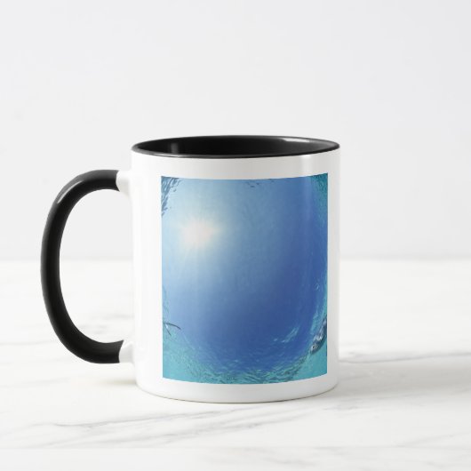 海の魚 マグカップ (左)