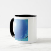 海の魚 マグカップ (正面左)