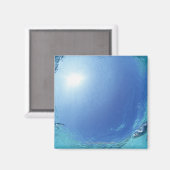 海の魚 マグネット (正面/裏面)